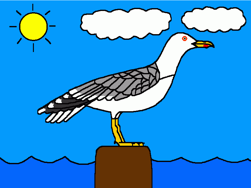 gaviota patiamarilla para colorear