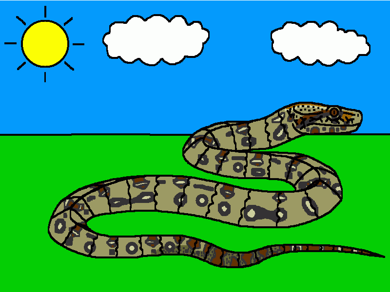 la boa constrictor para colorear