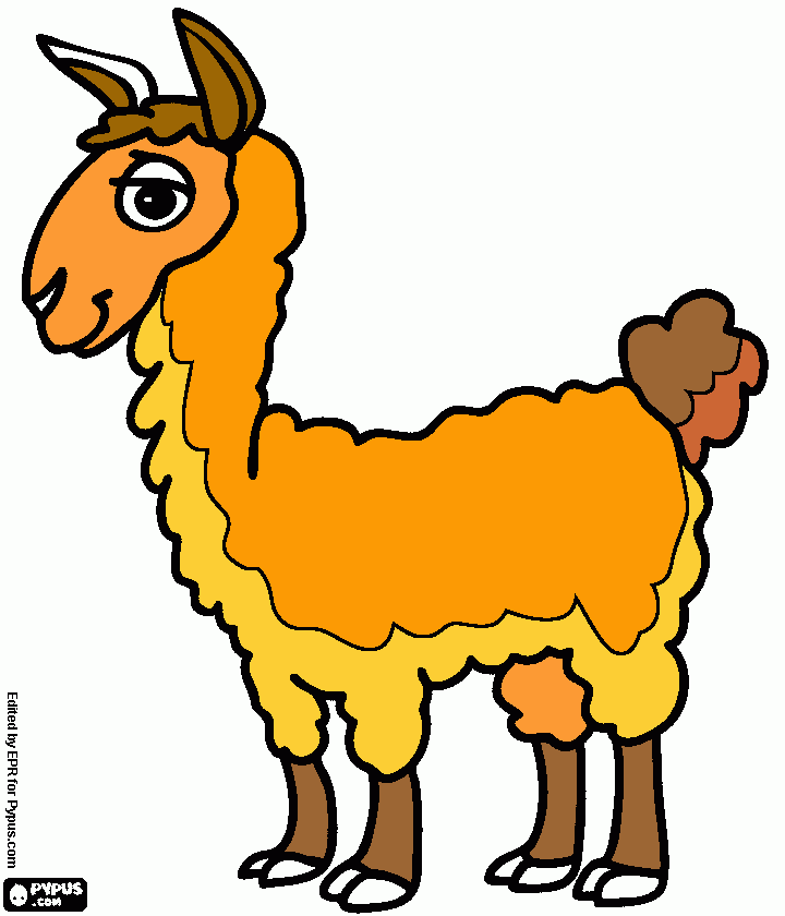 la llama del peru  para colorear