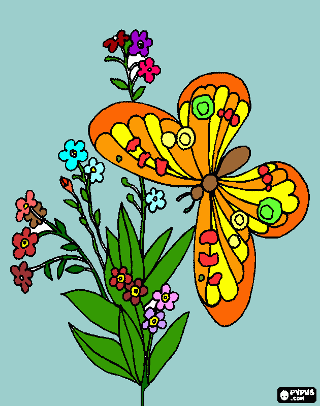 la mariposota para colorear