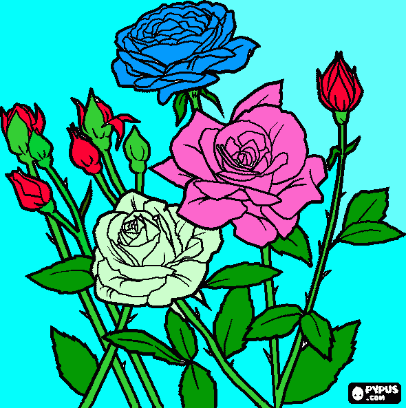 la rosa de mi amor porti mami para colorear