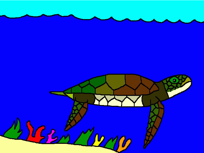 la tortuga de akumal para colorear