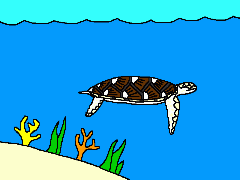 la tortuga marina albina para colorear