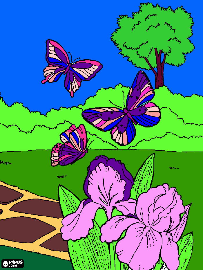 lindas mariposas  para colorear