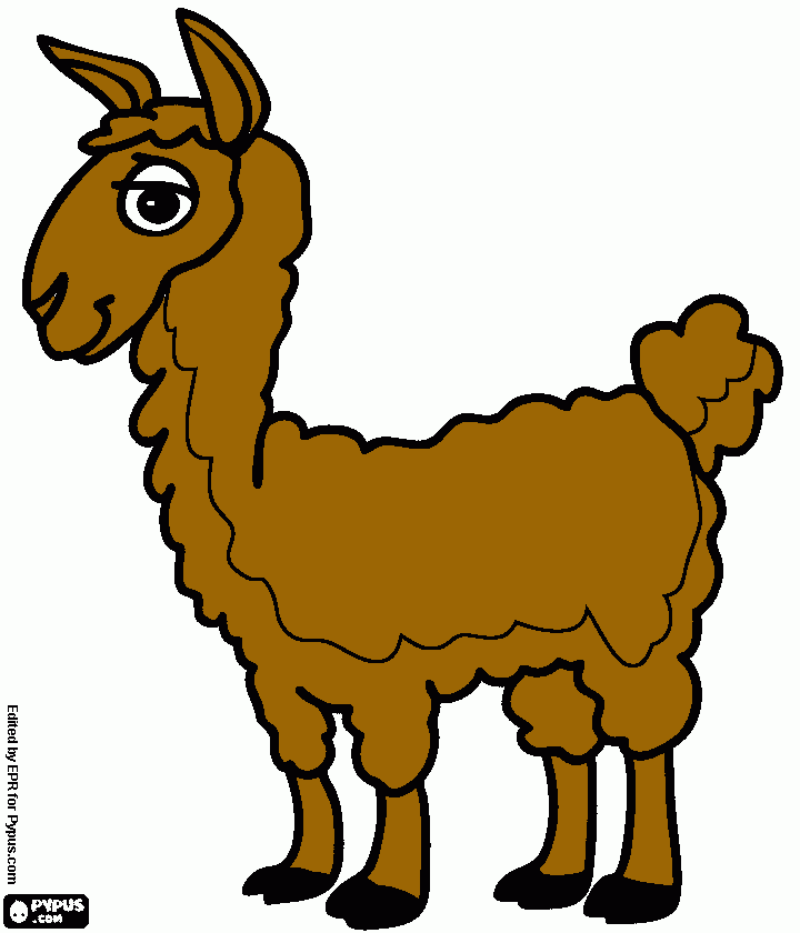 llamita para colorear