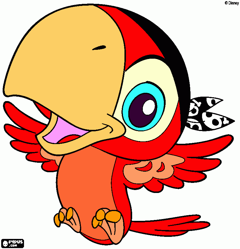 loro rojo para colorear