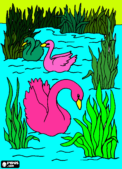 los cisnes mas bonito para colorear