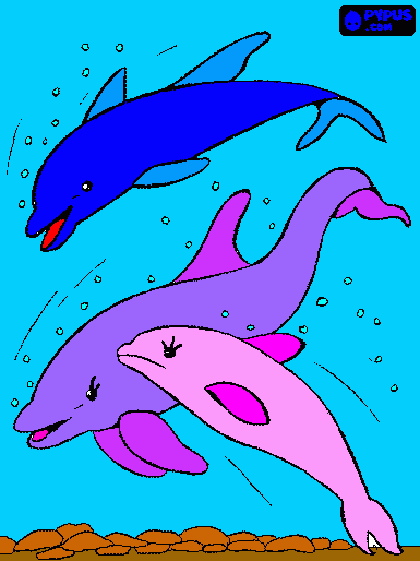 Los delfines para colorear