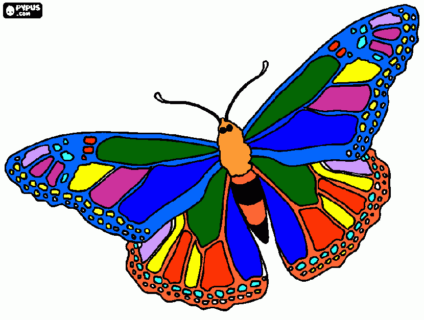 mariposa color para colorear