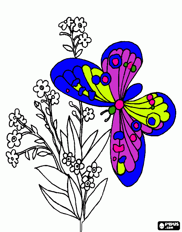 mariposa de la primavera para colorear