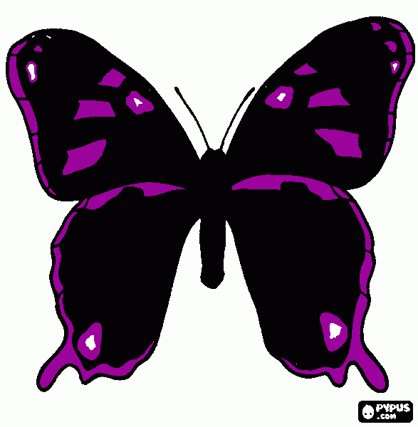 mariposa miraculous para colorear