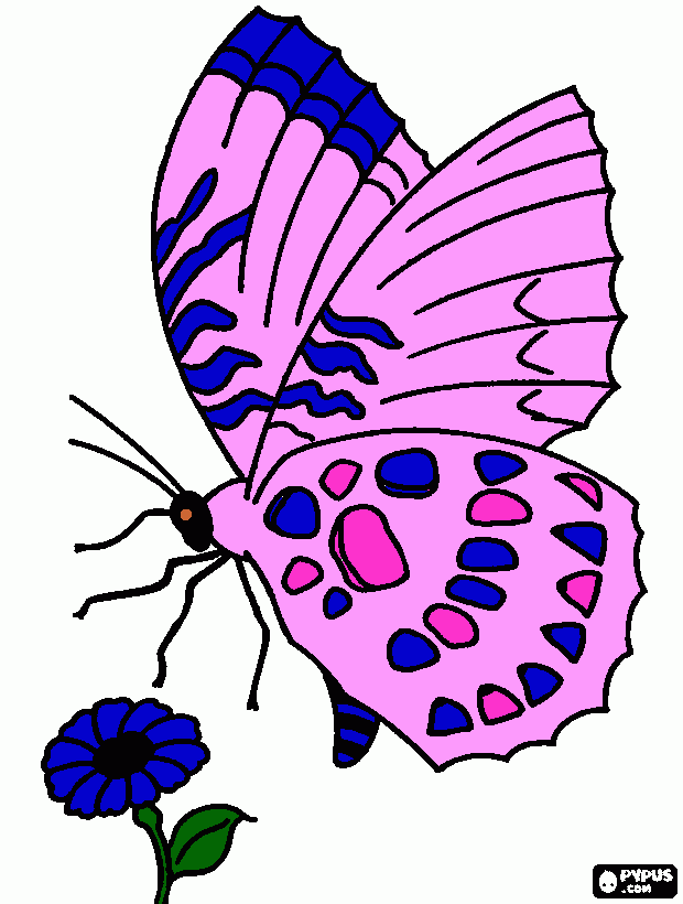 Mariposa pintada por julian para colorear