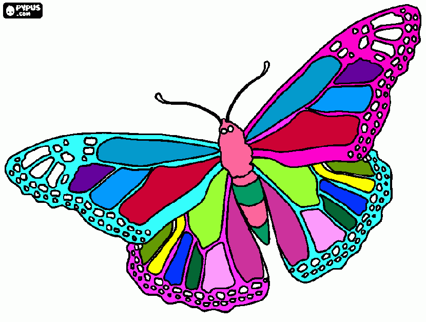 mariposita colorisicisima para colorear