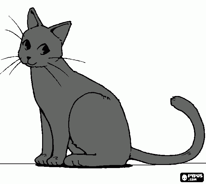 mi gatito luna para colorear