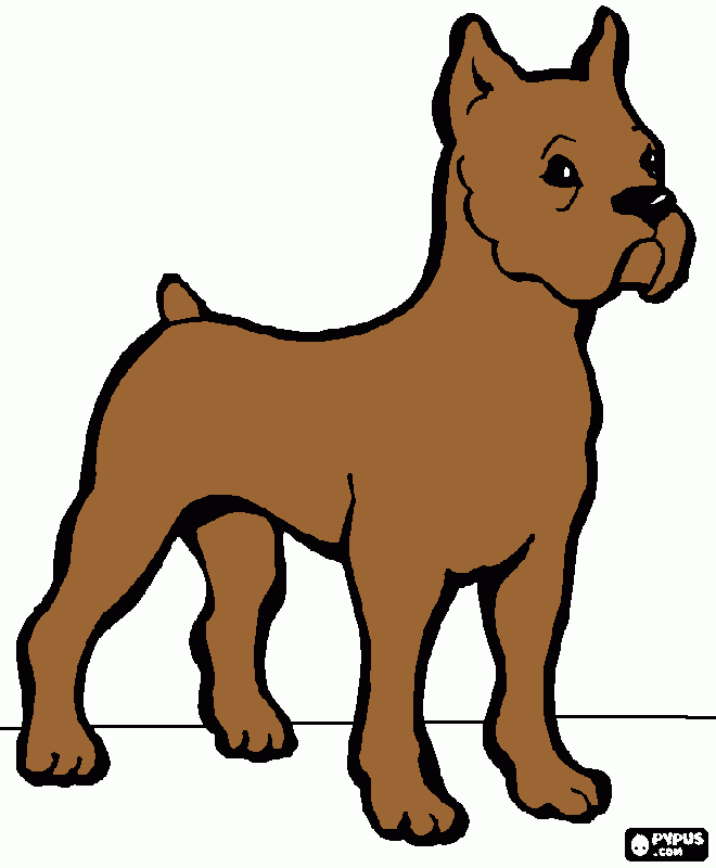 mi perrito bulldog para colorear