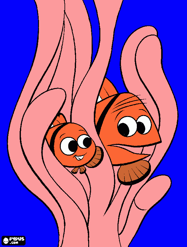 nemo i su padre anemona para colorear