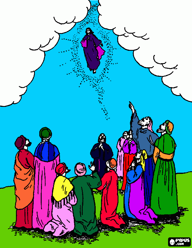 nuevo testamento para colorear