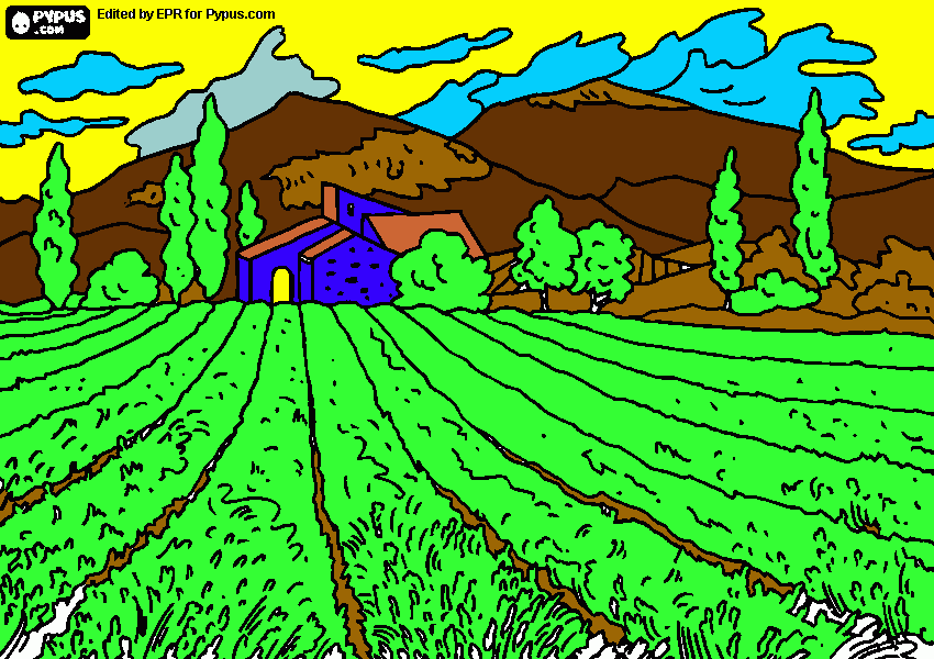 nun campo para colorear