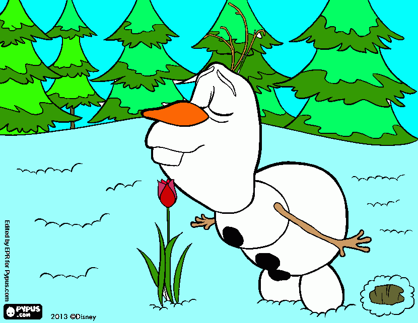 olaf en colors para colorear