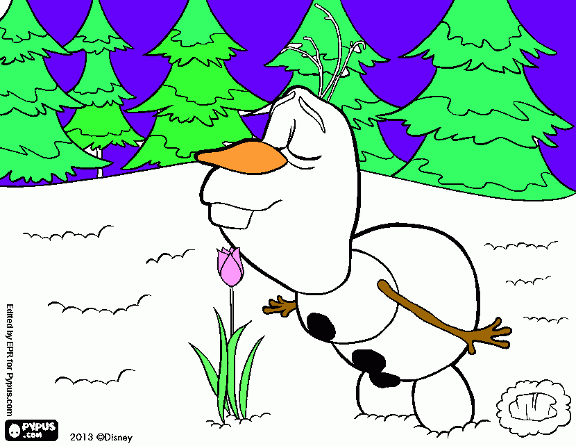 olaf flor para colorear