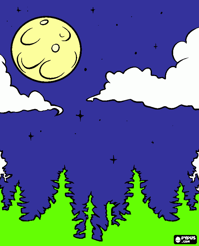 paisaje nocturno con la luna llena en el bosque de abetos para colorear