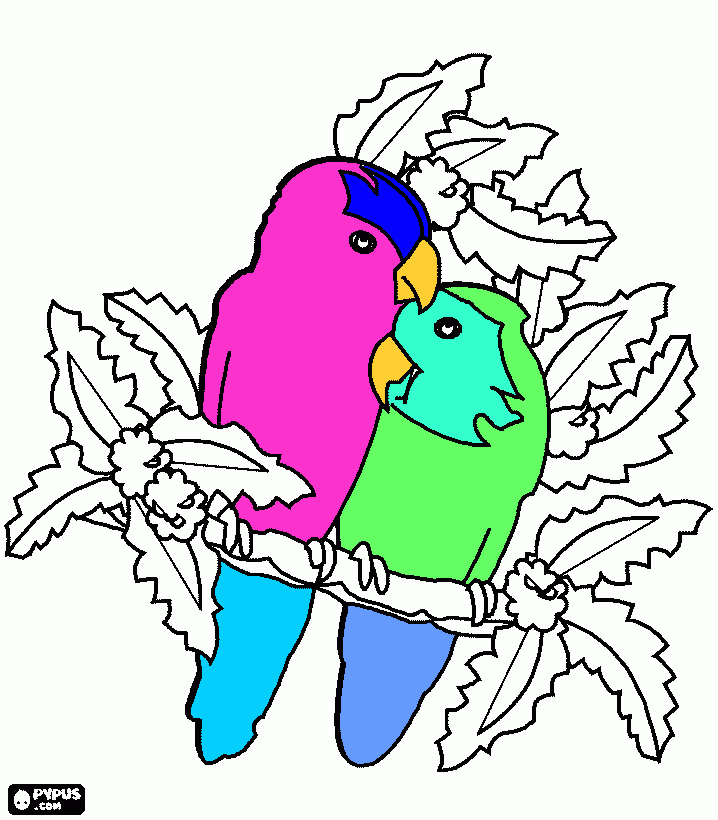 pajaritos de primavera para colorear