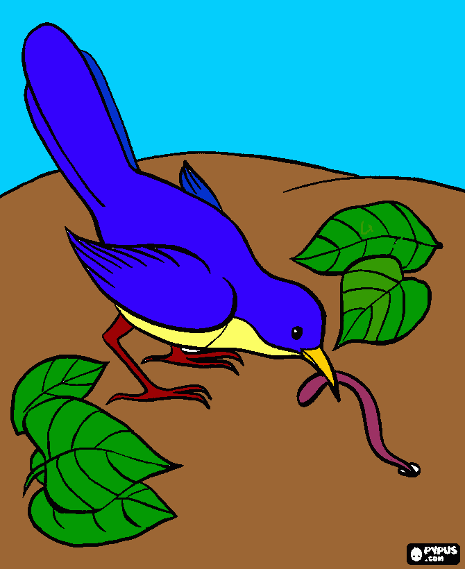 pajaro con gusano para colorear