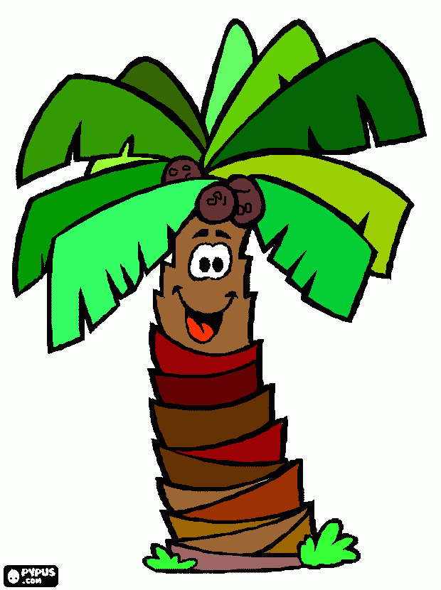 palmera sonriente con sus frutos, los cocos. cocotero para colorear