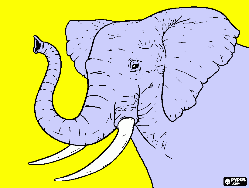 Papá elefante para colorear