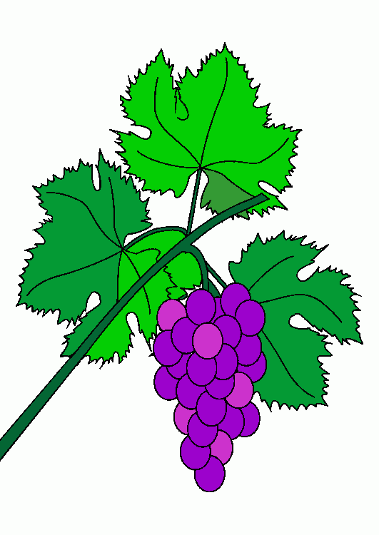 parra con uvas para colorear