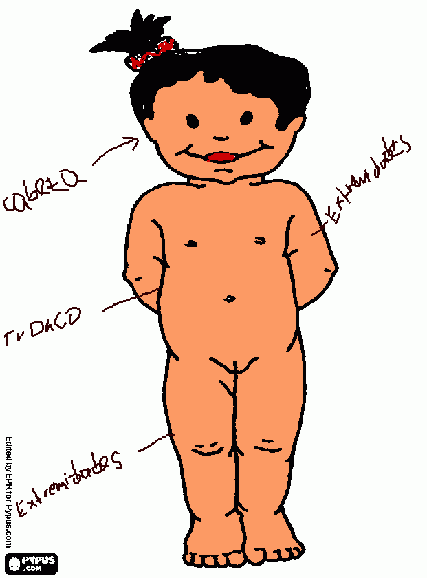 partes del cuerpo humano para colorear