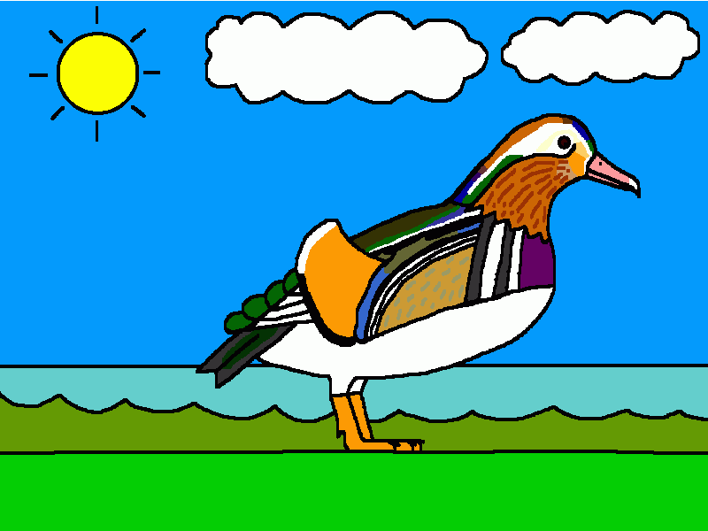 pato mandarín para colorear