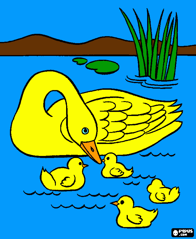 patos en el agua para colorear