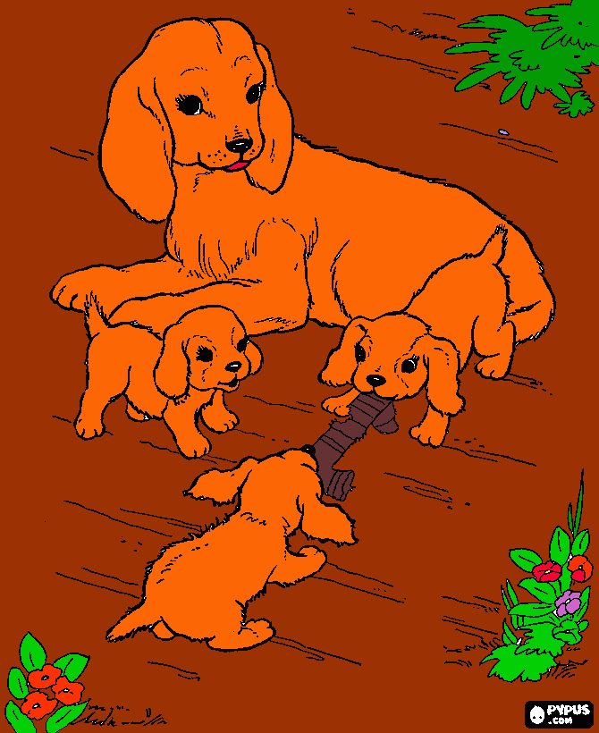 perritos monos para colorear