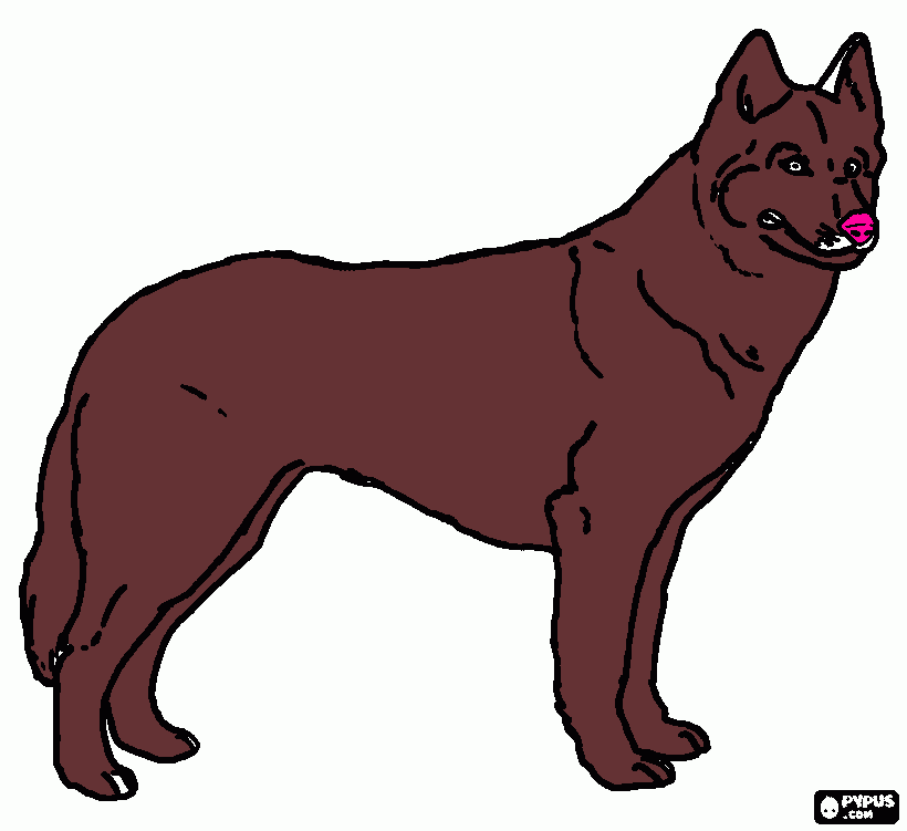 perro aleman para colorear