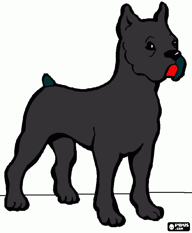 perro grande i guapo para colorear