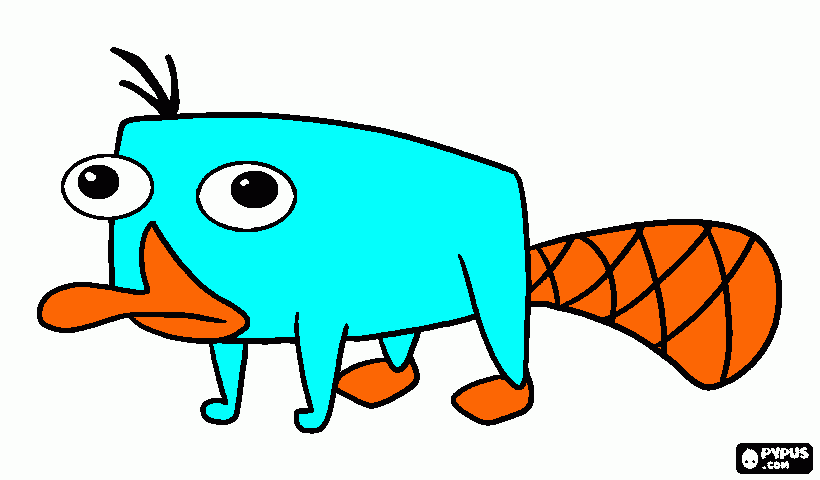 perry el ornitorringo para colorear