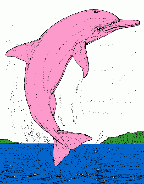 Pintua de un delfin rosado para colorear