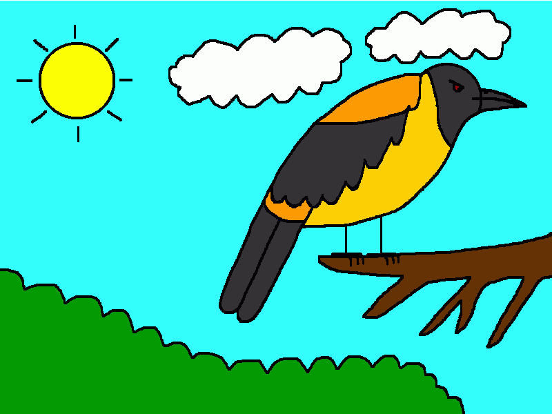 pitohui para colorear