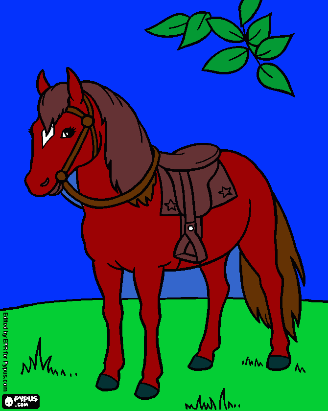 poni ensillado para colorear