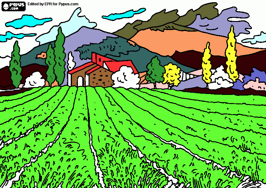 portada agricola semilla de la patria para colorear