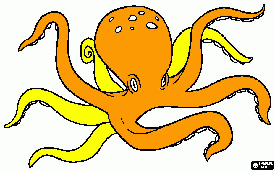 pulpo naranja y amarillo para colorear