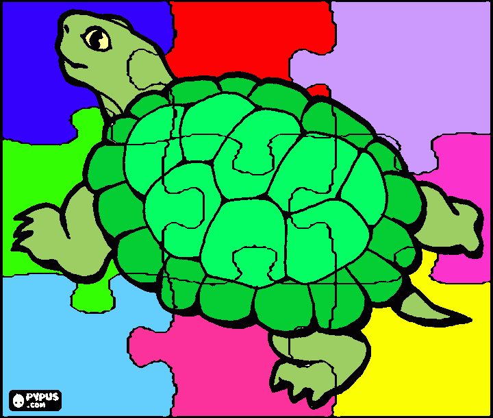 puzzle tortuga para colorear