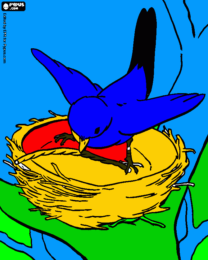 Pájaro con nido. para colorear