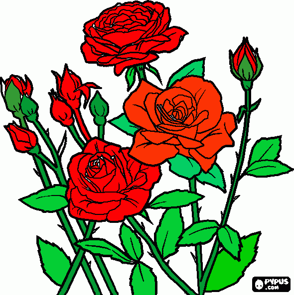 Rosal para colorear