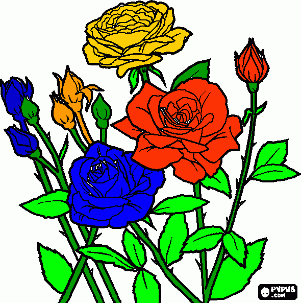 rosas abiertas y capillos de rosas en un ramo para colorear