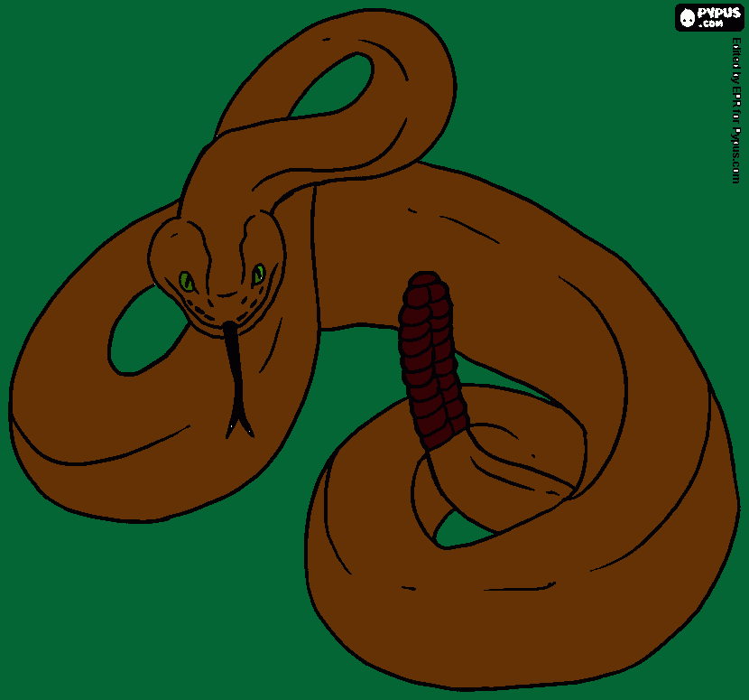 serpiente cascabel para colorear