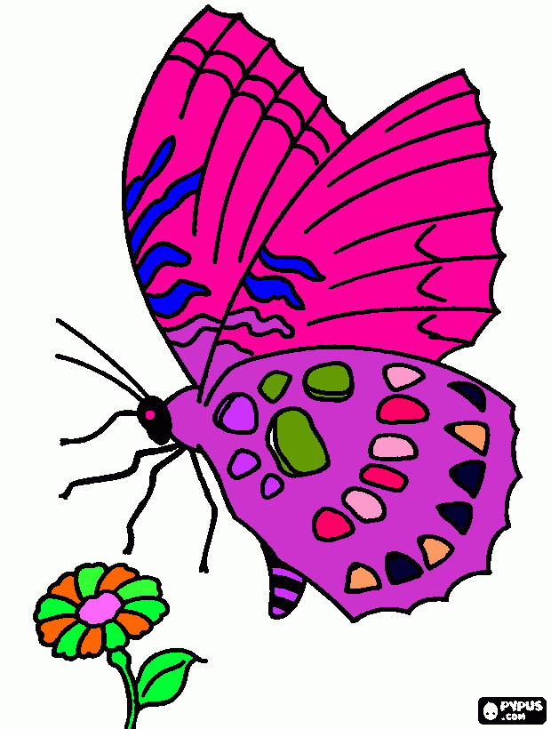 te amo mariposa linda para colorear