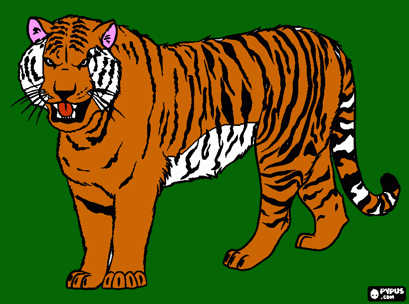 tigre siberiano para colorear