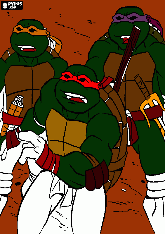 tortugas adria para colorear